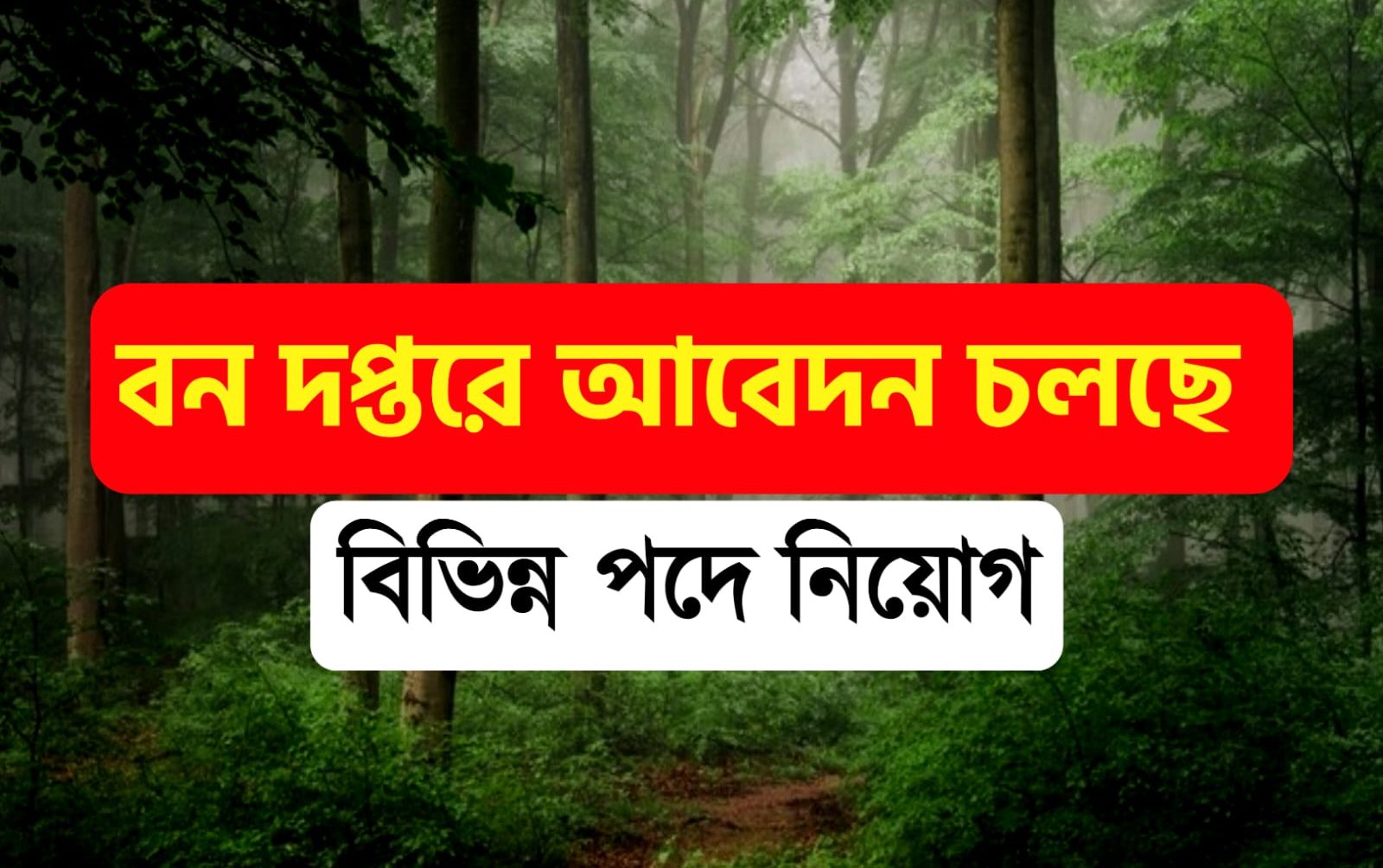 Indian Forest Recruitment 2023